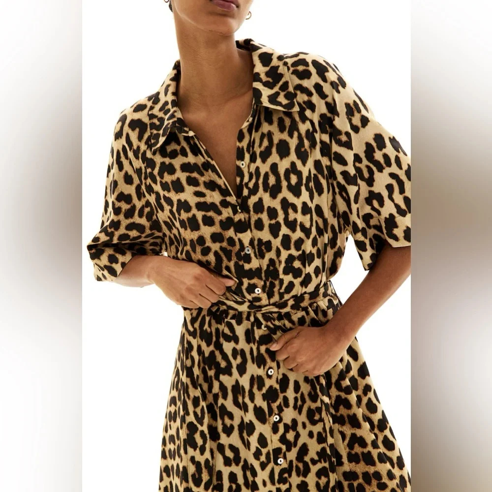 H&M medium leopard 🐆 midi button down collar dress - Picture 2 of 12
